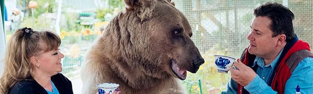 orso Stepan adottato da una coppia russa