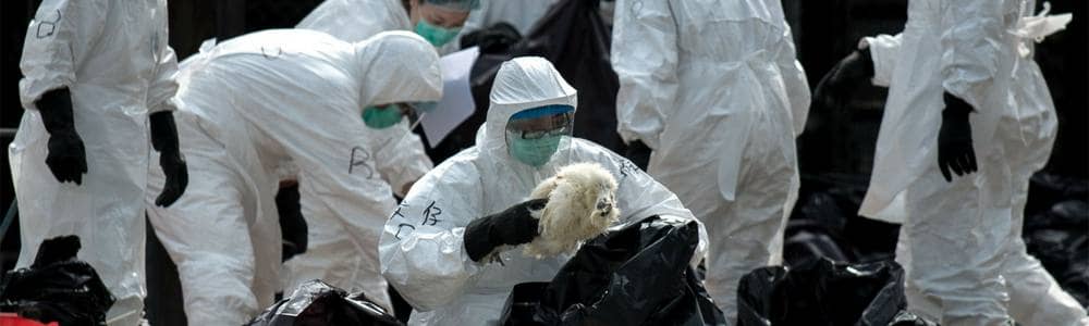 influenza