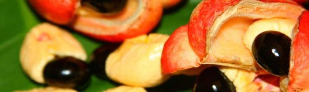 ackee