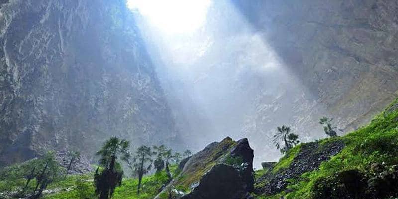 L'enorme foresta scoperta dentro una voragine nel terreno 