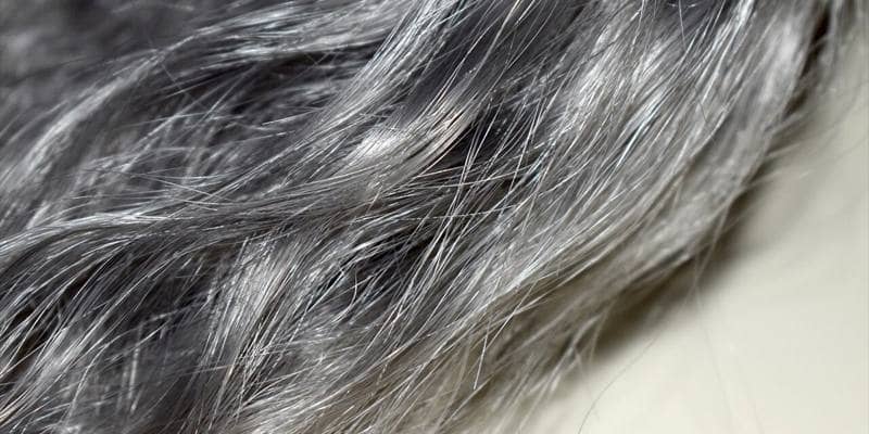 I capelli diventano grigi per colpa delle cellule staminali?
