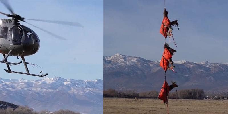 Avvistate sullo Utah le renne volanti di Babbo Natale