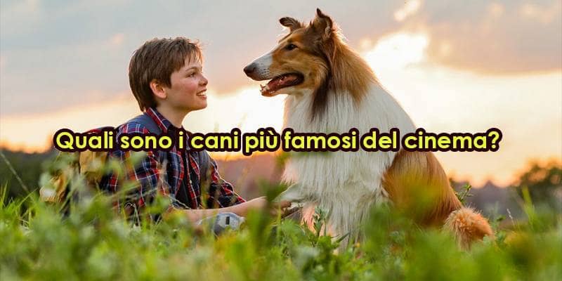 Quali sono i cani più famosi del cinema?
