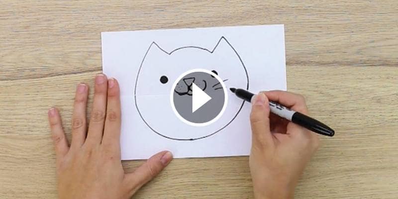 Biglietto a sorpresa: il disegno del gatto su un foglio piegato a metà