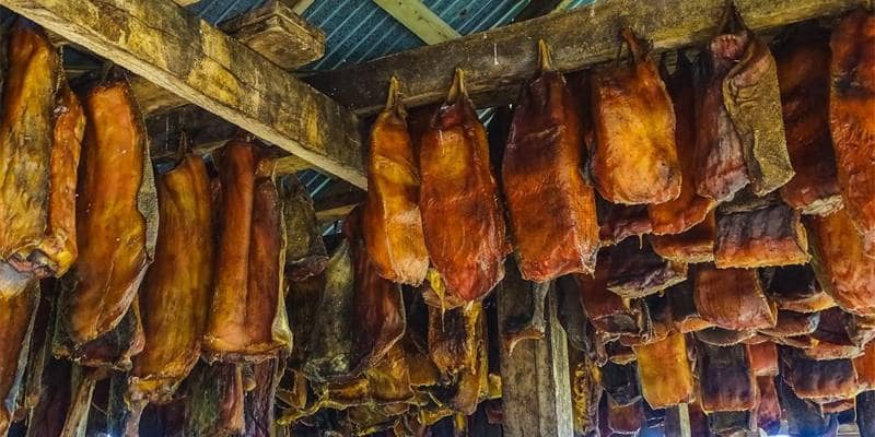 Il cibo più disgustoso al mondo