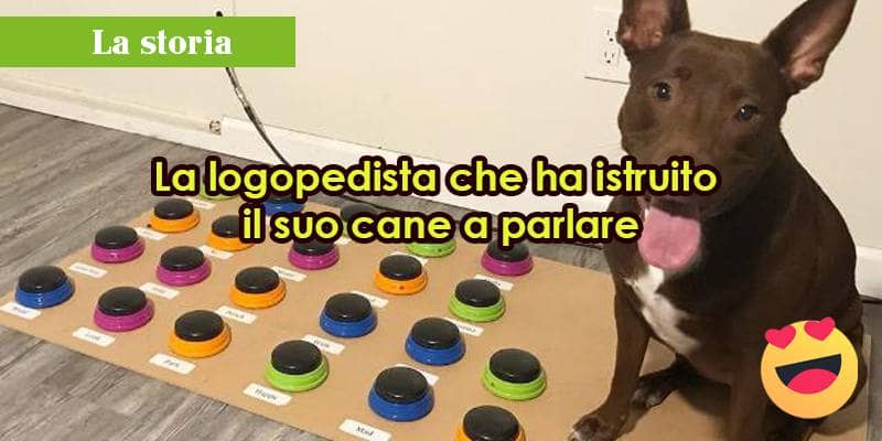 La logopedista che ha istruito il suo cane a 