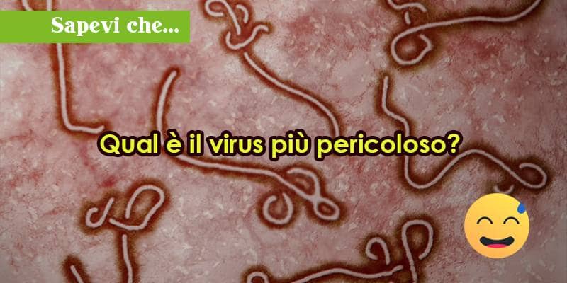 Qual è il virus più pericoloso? 