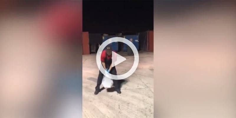 Lancia la spazzatura e colpisce chi stava filmando
