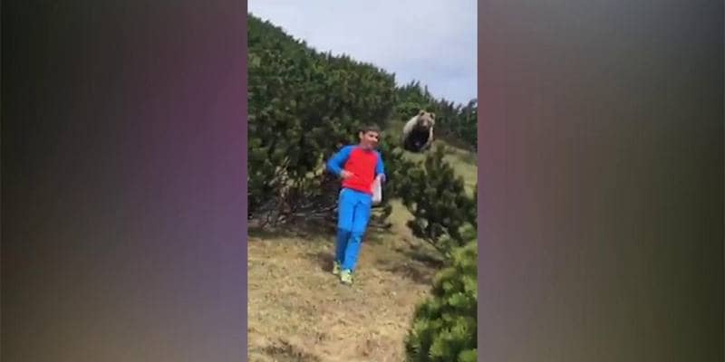 Da dietro un cespuglio appare un orso, ma bambino mantiene la calma