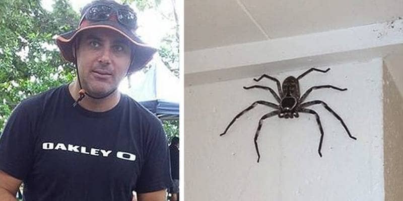 Tiene in casa un grosso 