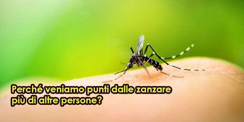 Perché veniamo punti dalle zanzare più di altre persone?